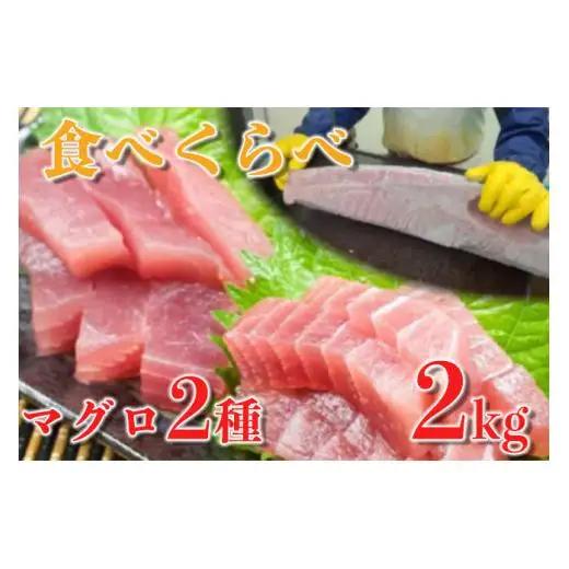 【 訳あり 】 訳ありマグロ食べ比べ