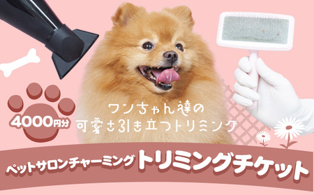 トリミング チケット 4,000円分 犬 ペットサロンチャーミング《30日以内に出荷予定(土日祝除く)》千葉県 流山市 ペット 愛犬 ワンちゃん お手入れ 健康 体験