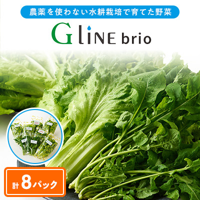 
                  【毎月定期便】G Line brio レタス8パックセット全2回【4056835】
                