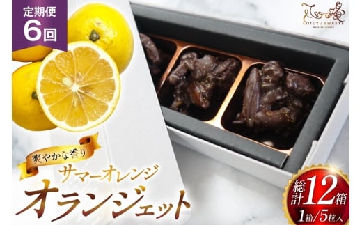 チョコ オランジェット サマー オレンジ 5粒入り 2箱 セット 6回 定期便 総計 12箱 [心優-Cotoyu Sweets- 長崎県 平戸市 hr42bgy420260] チョコレート ショコラ ピール 柑橘 スイーツ