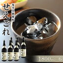 【ふるさと納税】奄美黒糖焼酎 せえごれ 30度 一升瓶 1800ml×6本 奄美 黒糖焼酎 ギフト 奄美大島 お土産 | 焼酎 酒 お酒 鹿児島 鹿児島県 アルコール お取り寄せ