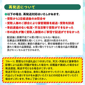 【令和8年産】さくらんぼ 紅秀峰　バラ詰め 1kg　Lサイズ以上　山形県鶴岡市　鶴岡中央青果　| サクランボ チェリー 山形 鶴岡 庄内産 東北 果物 くだもの フルーツ 1キロ 産地直送 甘い 完熟