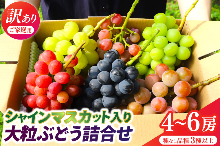 
            ＼訳あり ご家庭用／シャインマスカット入り 大粒ぶどうの詰合せ 4~6房 (約2.3kg) 種なし品種 3品種以上【農家さんおまかせ】 (DM004)
          