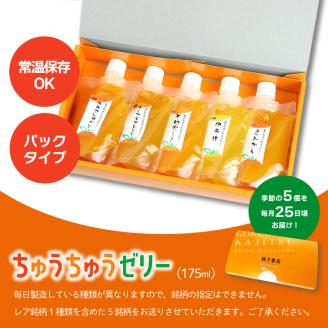 ちゅうちゅうゼリー 定期便 5個×12回 果汁ゼリー 柑橘 ゼリー みかん 果物ゼリー スイーツ 愛媛県 松山市