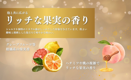 スパークリングワイン ＜エトワール シャルドネ スパークリング＞ 750ml×1本 ｜ スパークリングワイン