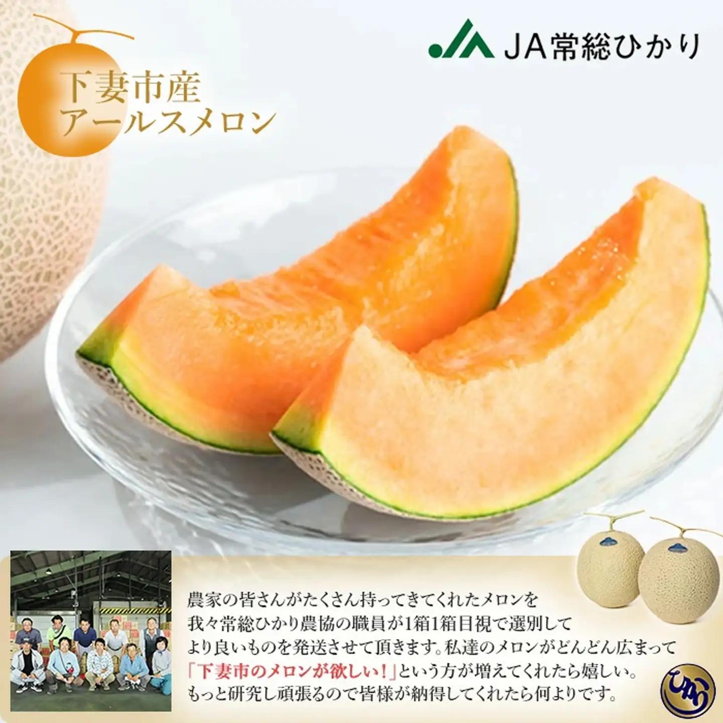 メロン 赤肉 茨城県産 R8年産 アールスメロン 約7.5kg 3～6個