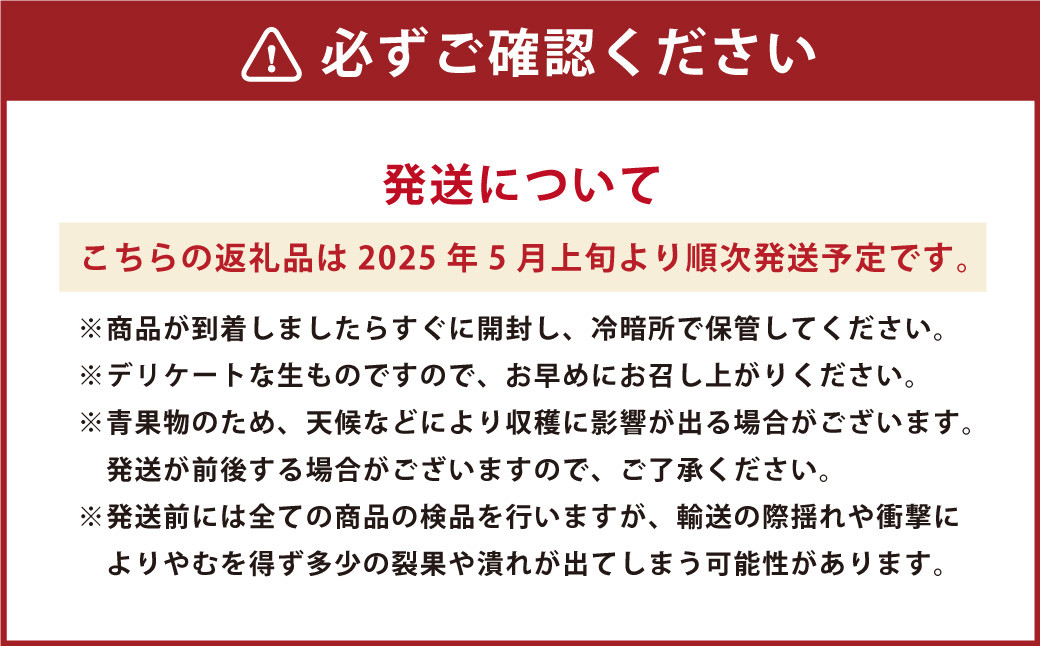 熊本県産 小玉すいか 1玉