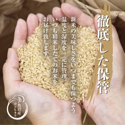 ふるさと納税 十日町市 【無地熨斗】魚沼産 コシヒカリ 5kg×2袋 計10kg(お米の美味しい炊き方ガイド付き) |  | 03