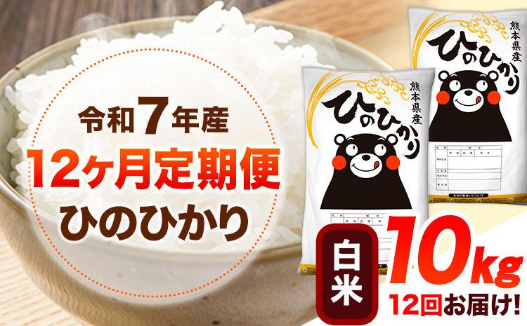 令和7年産【12ヶ月定期便】 白米 ひのひかり 10kg 《お申込み翌月から出荷》 熊本県産 白米 精米 ひの 送料無料 熊本県 山江村 SDGs 米 コメ こめ 国産---hn7tei_306000