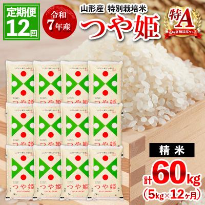 ふるさと納税 山形市 【1月開始】定期便12回 令和7年産 山形産 特別栽培米 つや姫 5kg×12 FZ25-095