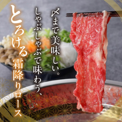 松阪牛 しゃぶしゃぶ (ロースもしくは肩ロース) 1kg【配送不可地域：離島】【1293402】