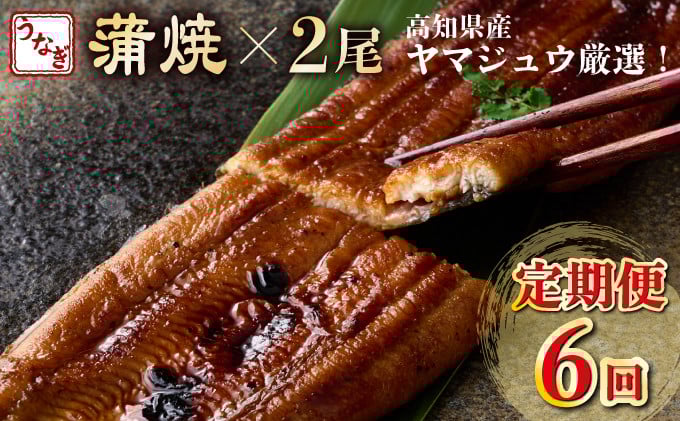 
            【6回定期便】ヤマジュウ厳選! 国産 ウナギ 蒲焼き 2尾(1尾あたり約160g～170g)×6回 6ヶ月 タレ付き 鰻 うなぎ かば焼き 加工品 魚 魚介類 高知県産 冷凍 送料無料 頒布会
          