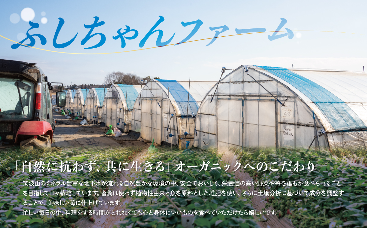 【2027年1月中旬～発送開始】希少な有機いちご200g・有機やさい3種