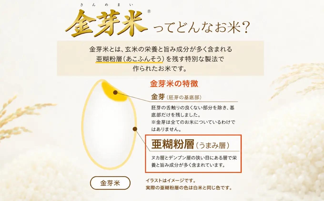【 金芽米 】愛知県 美浜町産 にじのきらめき 5kg×2袋 無洗米｜米 糖質オフ