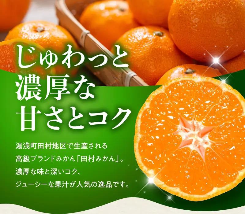 【2026年先行予約】田村みかん 秀品 約 5kg 2Sサイズ 高級ブランド 田村みかん 小玉 みかん 温州みかん フルーツ 果物 柑橘 果汁 ジューシー 赤秀品 青秀品 国産 食品 食べ物 期間限定