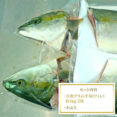 ふるさと納税 延岡市 【大和ブリ】半身(フィレ)約1kg×2枚　かぶと付き |  | 03