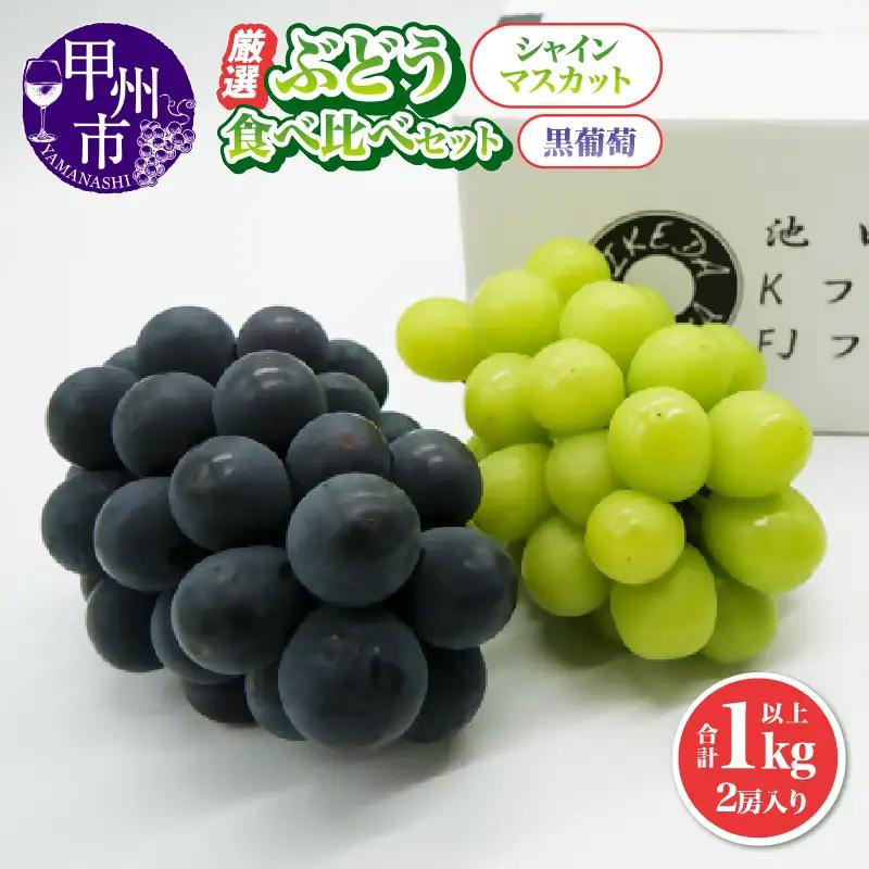 厳選 葡萄食べ比べセット 1.0kg以上 2房入り【2026年発送】（IS）B-474 シャインマスカット 黒葡萄 フルーツ