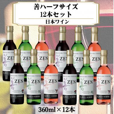 ふるさと納税 上越市 岩の原ワイン　善ハーフサイズ12本セット
