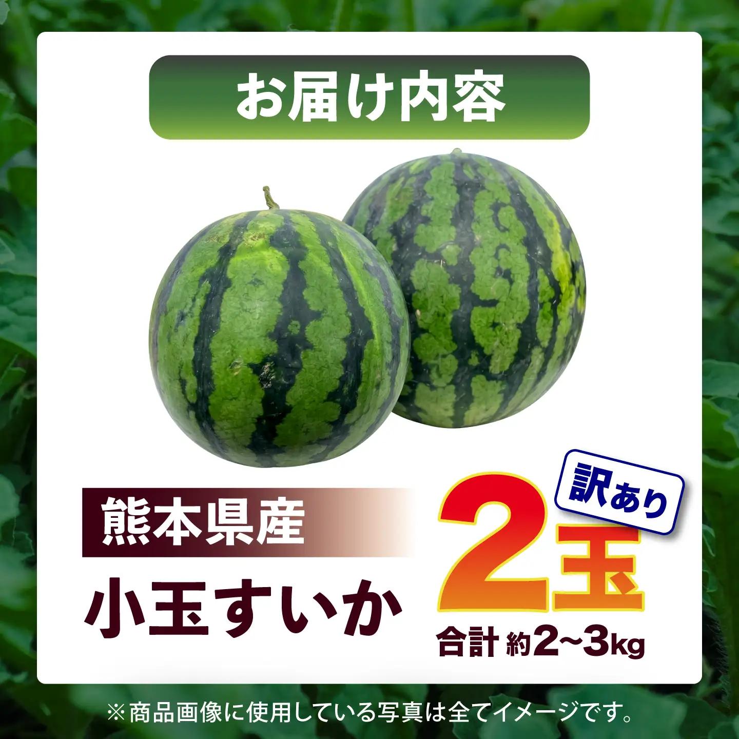 令和8年熊本地震復興支援 先行予約2027年5月下旬より発送 訳あり小玉すいか2玉計約2kg~3kg数量限定スイカすいかAYAT009