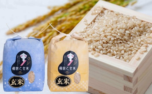 備前乙女米 玄米 2kg×2袋 合計4kg 米 お米 コメ 特A 岡山県 倉敷市【2025年11月下旬～2026年9月下旬発送予定】