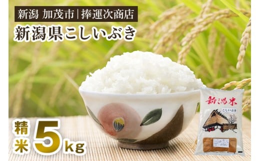 【令和7年産新米】新潟県産こしいぶき 精米 5kg 《順次出荷》 コシイブキ 新潟米 お米 白米 ライス ご飯 加茂市 捧運次商店