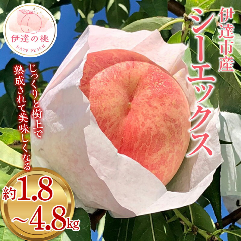 【ふるさと納税】＼選べる容量／【2026年出荷分先行予約】福島県産 シーエックス 約1.8kg 約2.8kg 約4.8kg あかい果樹園 大玉 固め 伊達の桃 桃 フルーツ 果物 もも モモ momo F20C-444var