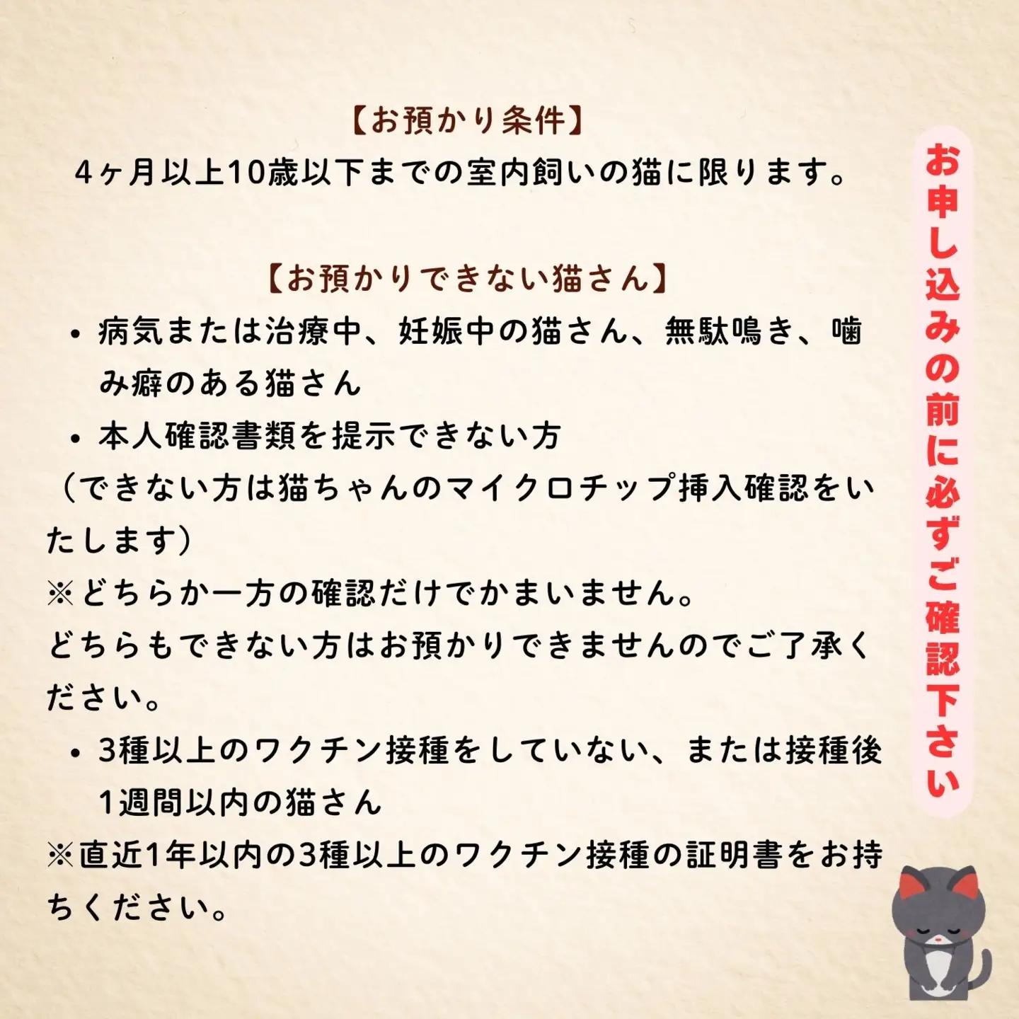 【長野県飯山市】にゃんほてる（猫専用ペットホテル） リバティベル 利用券3,000円分（T-17） 