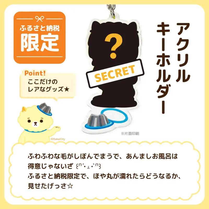 坂井市公式キャラクター「坂井ほや丸」でかほやぬい (ぬいぐるみ30cm) ＆ 限定アクリルキーホルダー  [A-20607]
