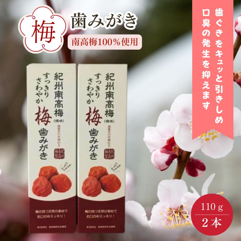 【ふるさと納税】紀州南高梅 すっきりさわやか梅歯みがき｜南高梅100％使用 天然素材 オーラルケア 口腔ケア 口臭予防 歯ぐきケア 梅 うめ ウメ