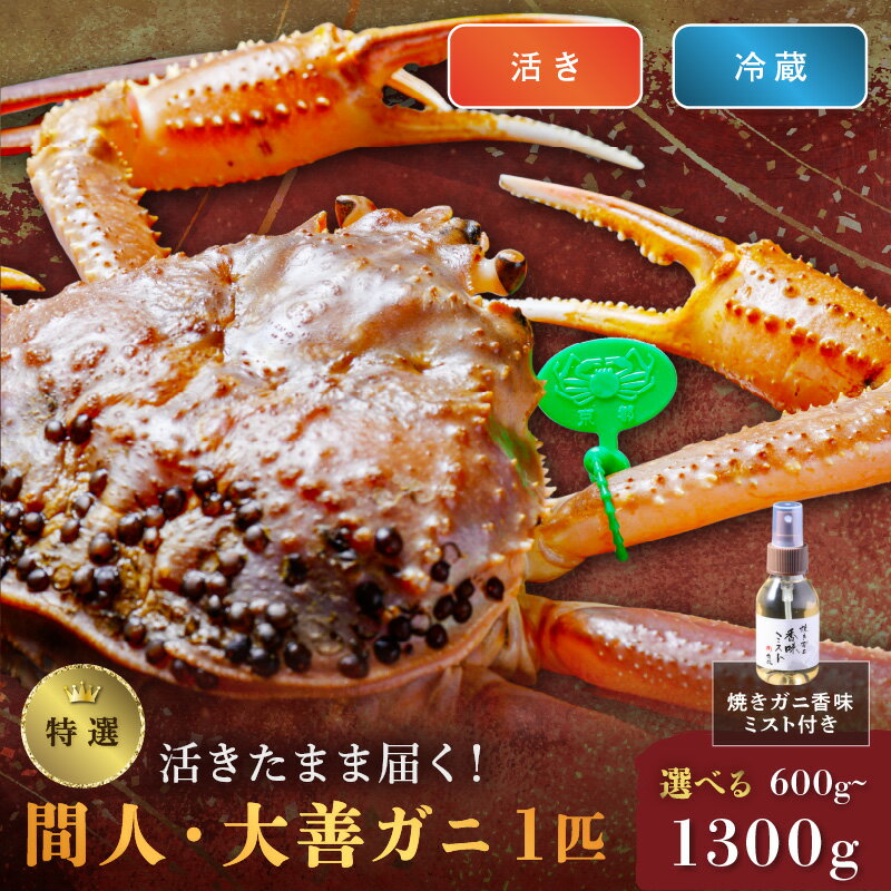 【ふるさと納税】【蟹の匠 魚政】京丹後市産 活きたまま届く！　間人ガニ大善ガニ 特撰 小サイズ 中サイズ 大サイズ 特大サイズ 1匹　香味ミスト付き　(2026年1月～発送)
