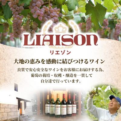 ふるさと納税 笛吹市 白ワイン Liaison リエゾン サンセミヨン 720ml×6本 日川中央葡萄酒 山梨県 笛吹市 |  | 03