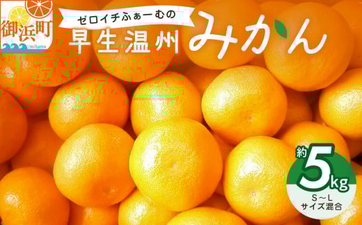 ゼロイチふぁーむのみかん 約5キロ【御浜町産 みかん オレンジ デザート 早生 温州 三重県】