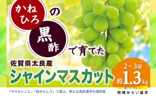 
                  【佐賀県太良町産】かねひろの「黒酢シャインマスカット（ご家庭用）」2~3房（約1.3kg）
                