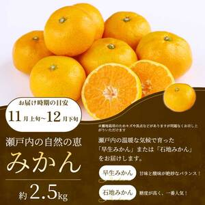 【年4回定期便】瀬戸内の恵みがいっぱい！人気の厳選フルーツ定期便 いちご  桃 ぶどう みかん 広島県三原市 イチゴ もも ブドウ 柑橘 T06