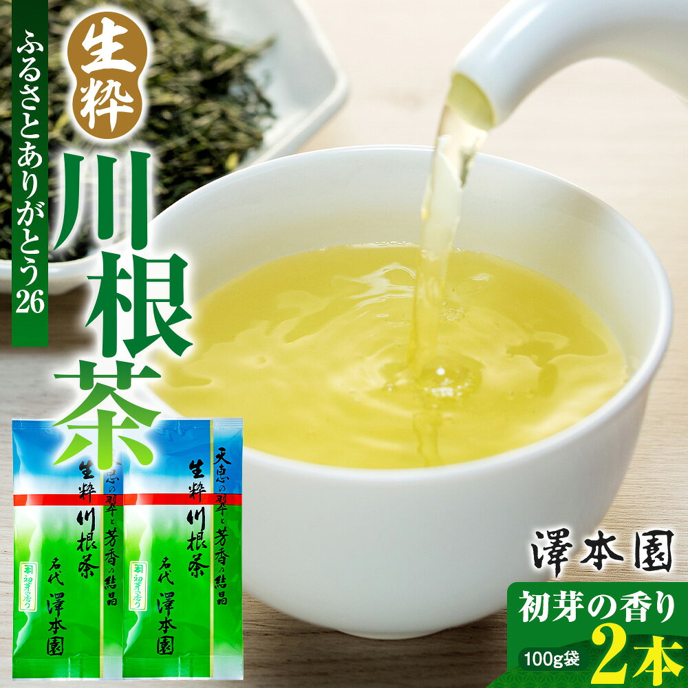 【ふるさと納税】お茶 静岡 緑茶 / 生粋川根茶澤本園ふるさとありがとう26 | ふるさと納税 ふるさと 静岡県 川根本町 静岡茶 川根茶 新茶 初芽の香り ギフト 送料無料