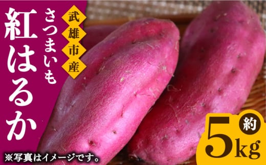 【先行予約】佐賀県武雄市産 さつまいも 紅はるか 約5kg /おかわりのうえん [UDD001] 芋 いも サツマイモ 焼き芋