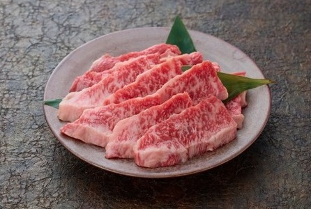 DN-040-001 鳥取和牛焼肉用カルビ800g