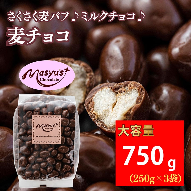 
            麦チョコ 750g 250gx3袋 4月～10月発送 チョコレート チョコ スイーツ お菓子 おかし  麦 ミルクチョコ  ギフト プレゼント 兵庫県 伊丹市 [№5275-0755]
          