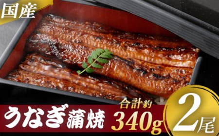 【ふるなび限定】九州産うなぎ蒲焼 2尾 食べごたえある2人前 ASF-585 FN-Limited