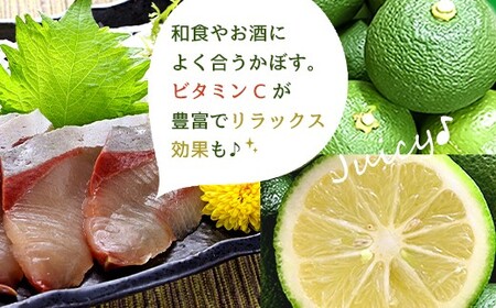 【2026年9月上旬-10月上旬発送予定】 さわやかな果汁たっぷり 竹田かぼす♪ 2kg 25玉前後（露地）