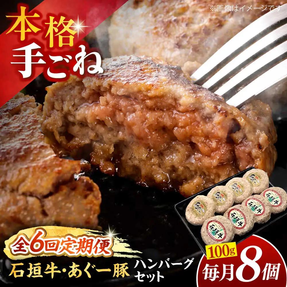 【全6回定期便】沖縄県産 あぐー豚＆石垣牛 ハンバーグセット 800g (100g×8個) 豚 牛 ハンバーグ 冷凍 ギフト お取り寄せ 沖縄市 / お肉屋本店[BCAZ016]