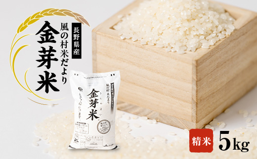 
            南箕輪村産「風の村米だより」金芽米 5kg(精米)【1508113】
          