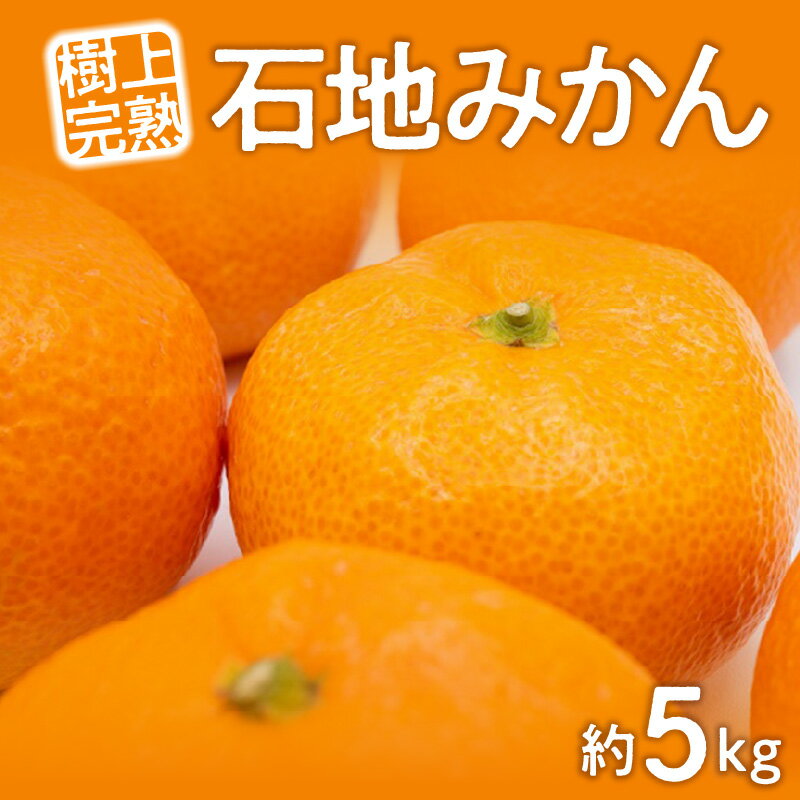 【ふるさと納税】 フルーツ みかん 石地みかん 約 5kg L〜Sサイズ 先行予約 [薄皮で剥きやすい 食べやすい 高糖度 果物 柑橘 旬 新鮮 直送 産地直送 予約販売 人気 ギフト お歳暮 贈答用 家庭用 10,000円 台 送料無料 香川県 三豊市 返礼品 五色青果 ]