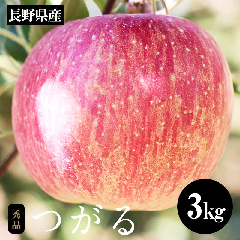 【長野県産】早生りんご(つがる)約3kg 秀品〈2025年9月上旬～9月中旬発送〉| 果物 くだもの フルーツ りんご リンゴ 林檎 つがる 長野県 信州 南信州 飯田市