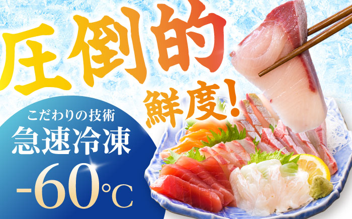 超速冷凍鮮魚7種（5種+焼物用2種）五島市/金沢鮮魚 [PEP068]