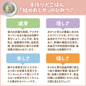 鮭のおじや　100g×3袋入