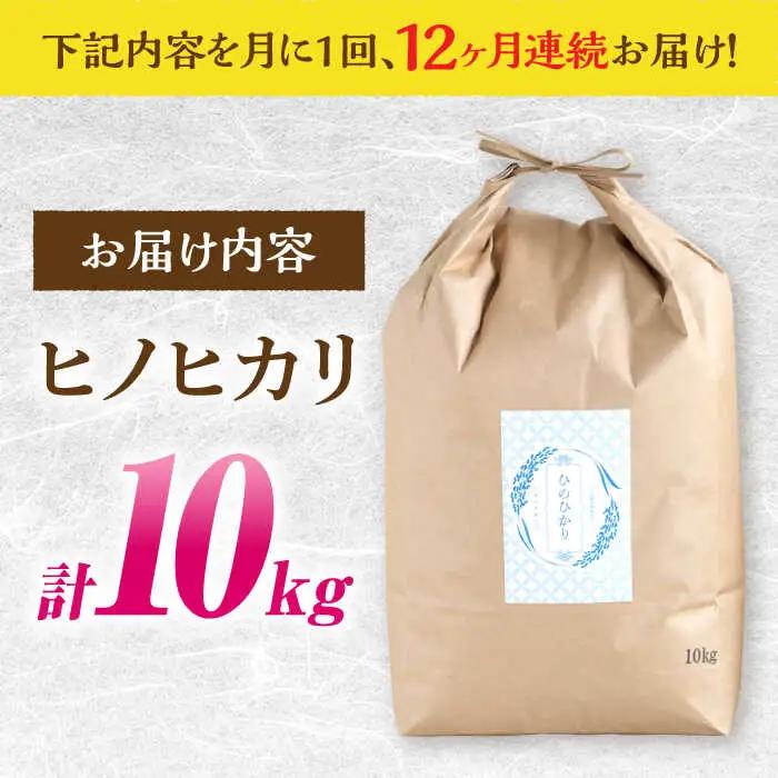 ヒノヒカリ 10kg×12回 定期便 / ひのひかり 米 お米 こめ コメ 精米 / 南島原市 / 林田米穀店 [SCO007]