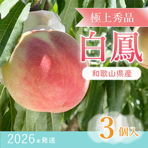 先行受付!　桃の王様【白鳳】　特秀品　食べきりやすい3個入り【配送不可地域：離島】【1525339】