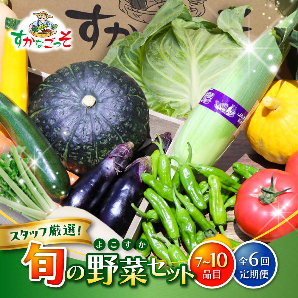 【ふるさと納税】【全6回定期便】よこすか野菜セット すかなボックス / 野菜 やさい 野菜ボックス 野菜セット 野菜詰め合わせ 野菜BOX 【JAよこすか葉山】[ASCB003]