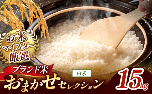 【 令和7年産 】おまかせ セレクション 熊本県産 白米  ＜ひのひかり / 森のくまさん / くまさんの輝き ＞ 15kg 単品 | 単一銘柄 米 単一米 お米 こめ 小分け 人気 コメ お米 5kg 10kg 15kg 20kg 25kg 30kg ブランド米 菊池川流域 家庭用 送料無料 熊本 くまもと 熊本県 和水 和水町 人気 ごはん